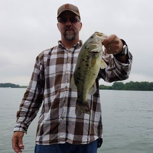 Meet your Posher, Steve